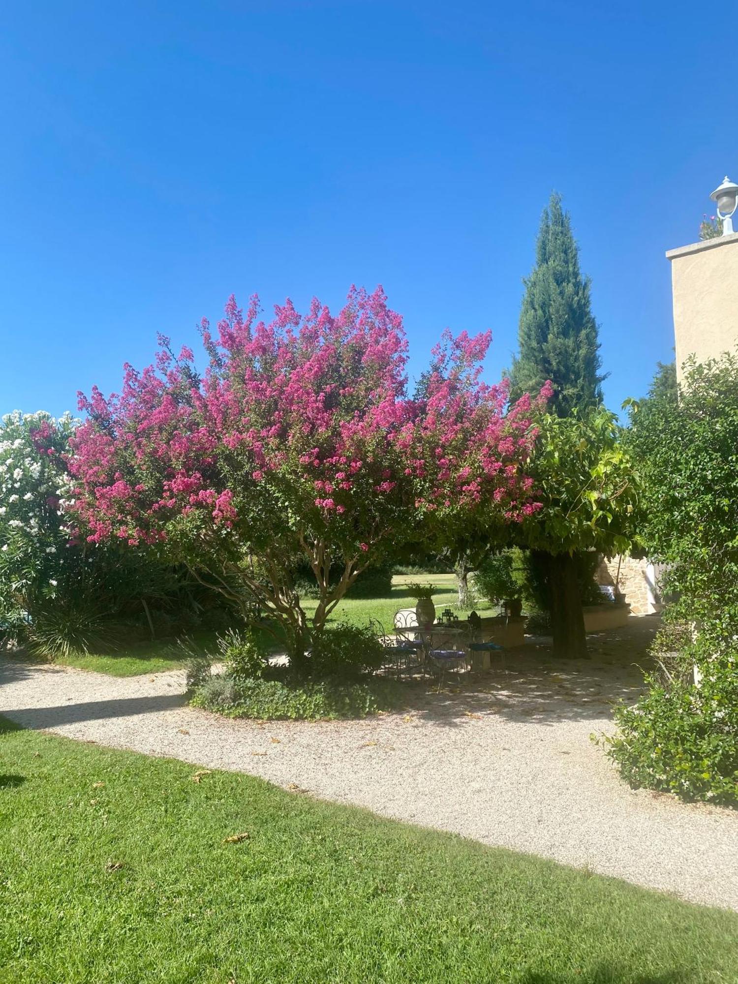 Mas Les Fleurs D'Hilaire Bed & Breakfast Монто Екстериор снимка